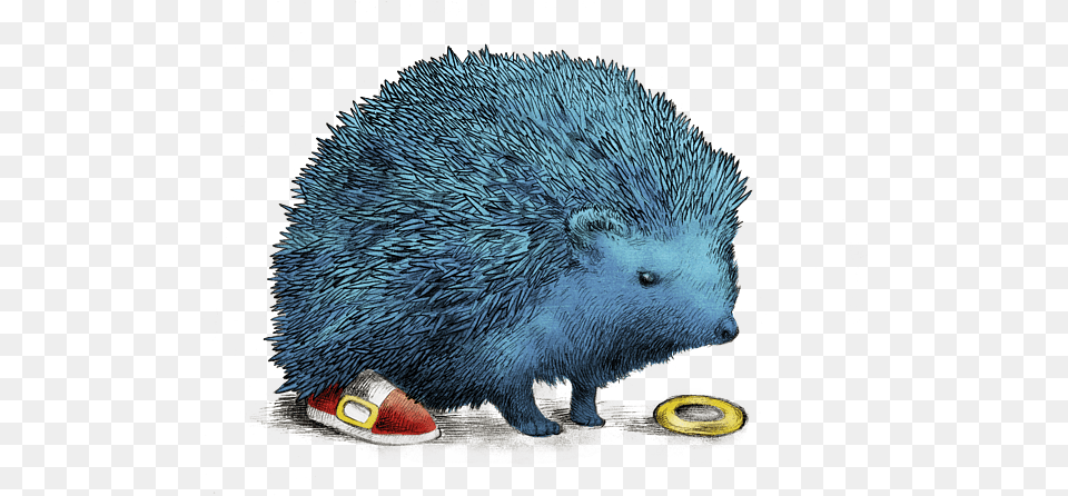 Sonic Baby Onesie Blauer Igel, Animal, Bear, Hedgehog, Mammal Png