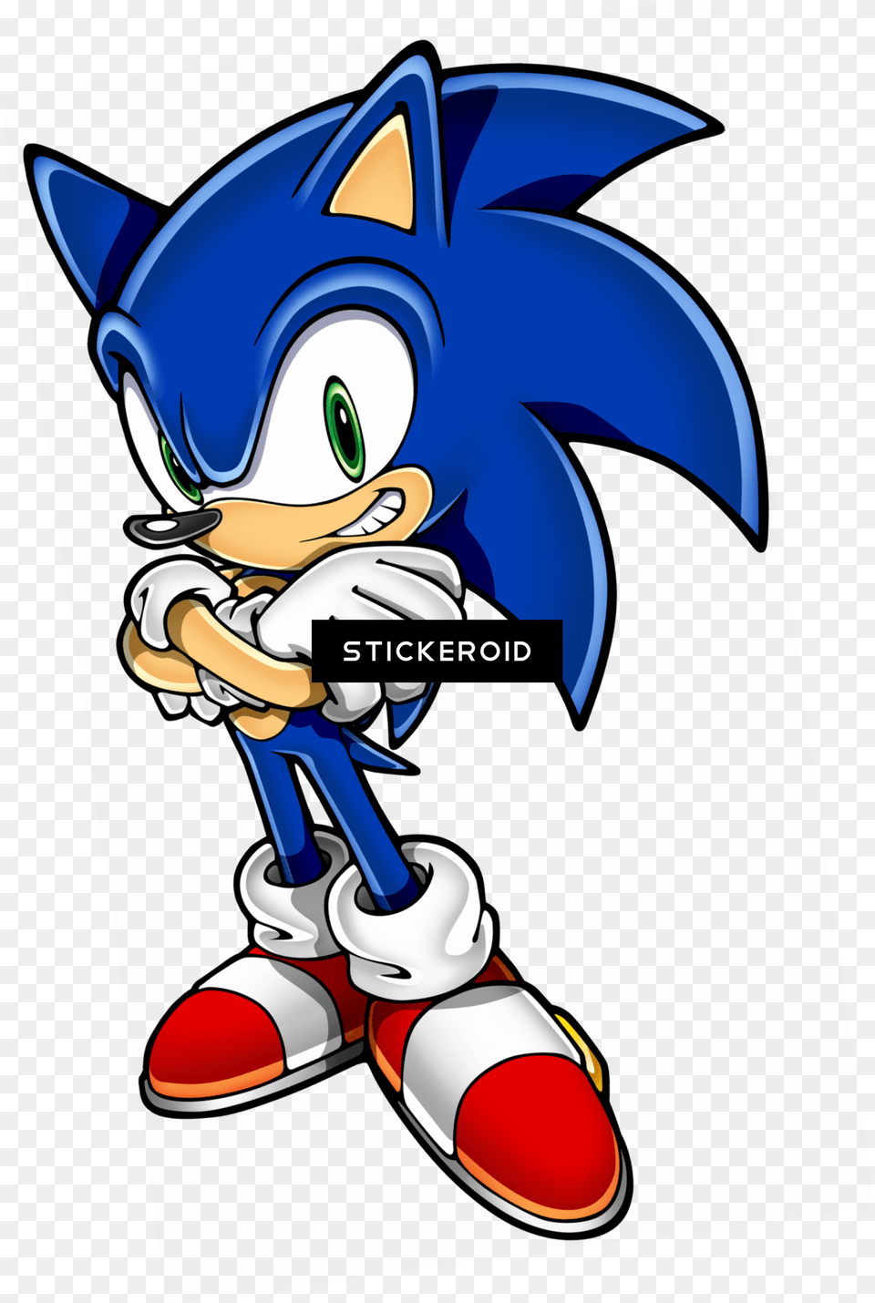 Sonic Hedgehog Standing Blue Sonic Rush 2 Adventures Game Ds, Book, Comics, Publication, Cartoon Free Transparent Png