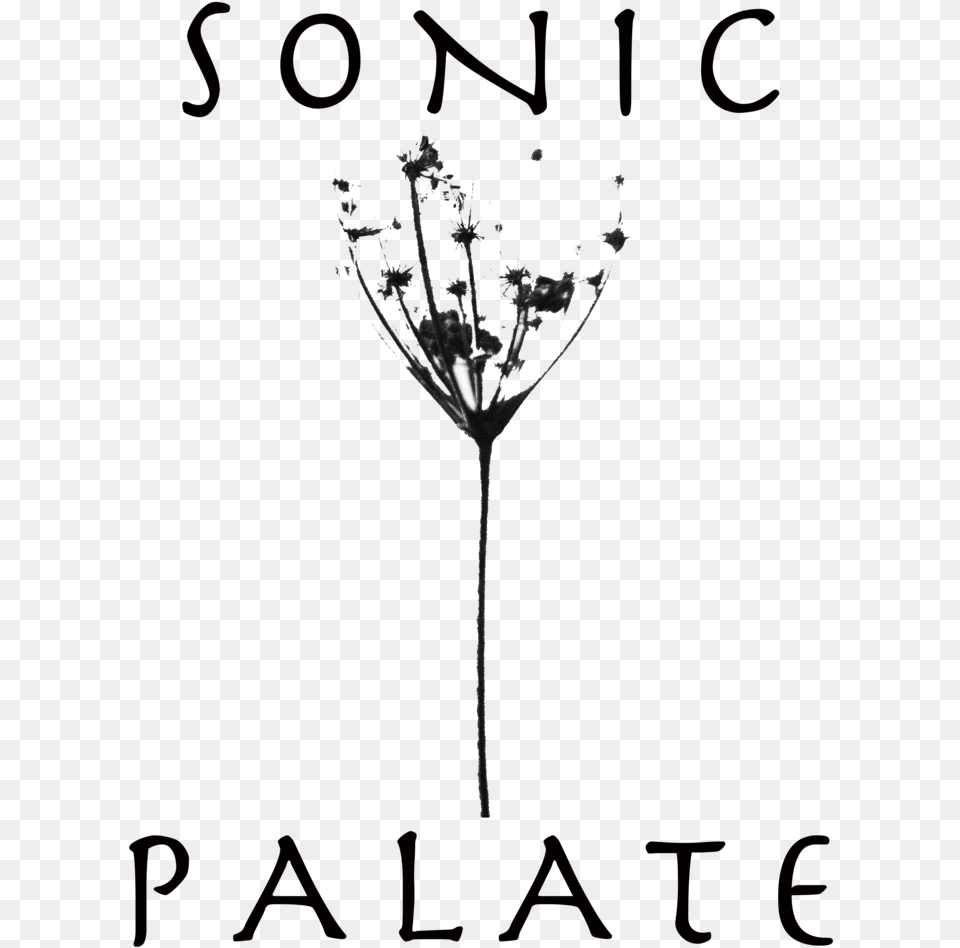 Sonic Running, Plant, Accessories, Jewelry, Flower Png