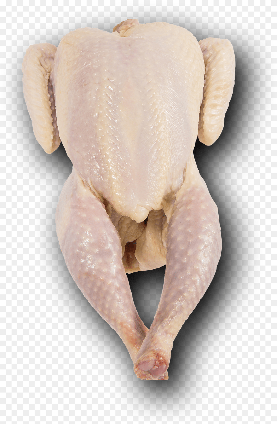 Sonoma Red Organic Pasture Raised Whole Chicken With True Frog, Animal, Bird, Fowl, Poultry Png Image