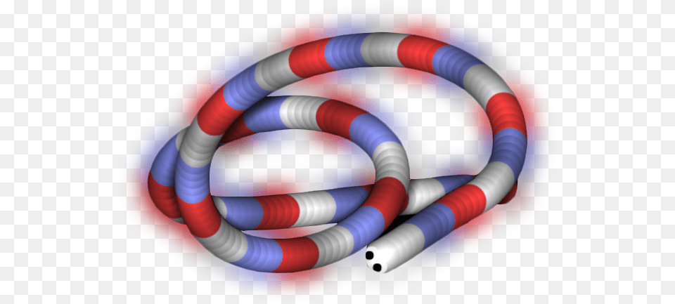 Sonoran Coral Snake, Spiral, Disk, Coil Png Image