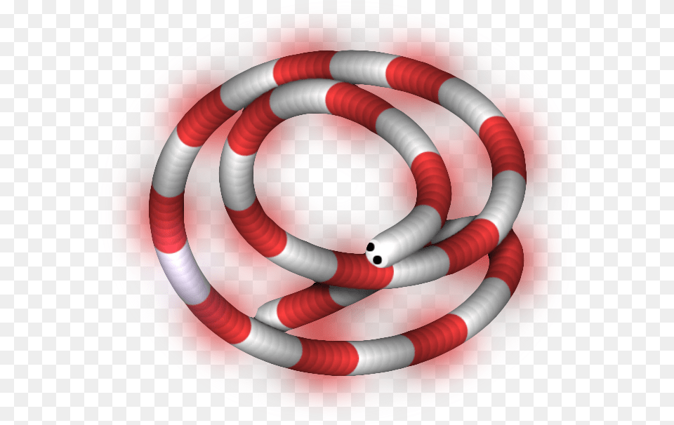 Sonoran Coral Snake, Coil, Spiral, Disk Free Png Download