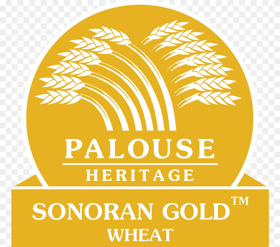 Sonorangoldlogo Wheat Logo Gold, Advertisement, Poster, Disk Png Image