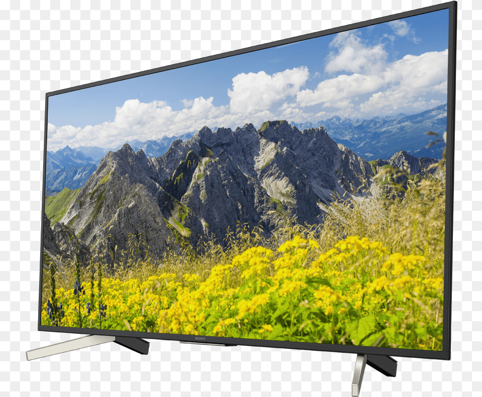 Sony Bravia, Computer Hardware, Screen, Tv, Monitor Free Png