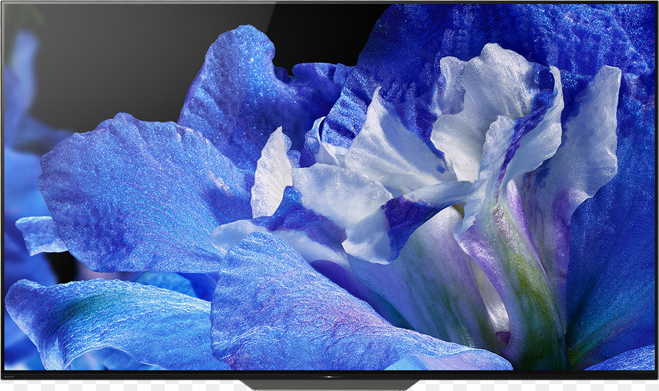 Sony Kd 55a8f, Flower, Geranium, Iris, Plant Free Transparent Png