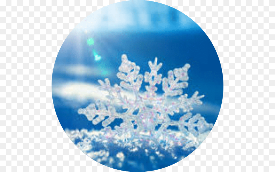 Sophei Snowflake Beautiful, Nature, Outdoors, Snow Free Transparent Png