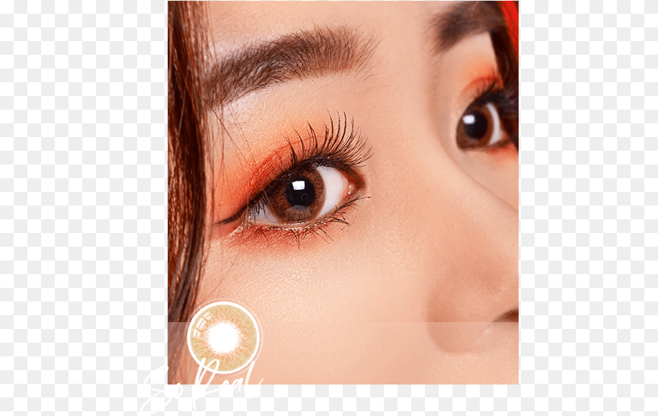 Soreal Soreal Burnt Orange, Adult, Female, Person, Woman Png Image