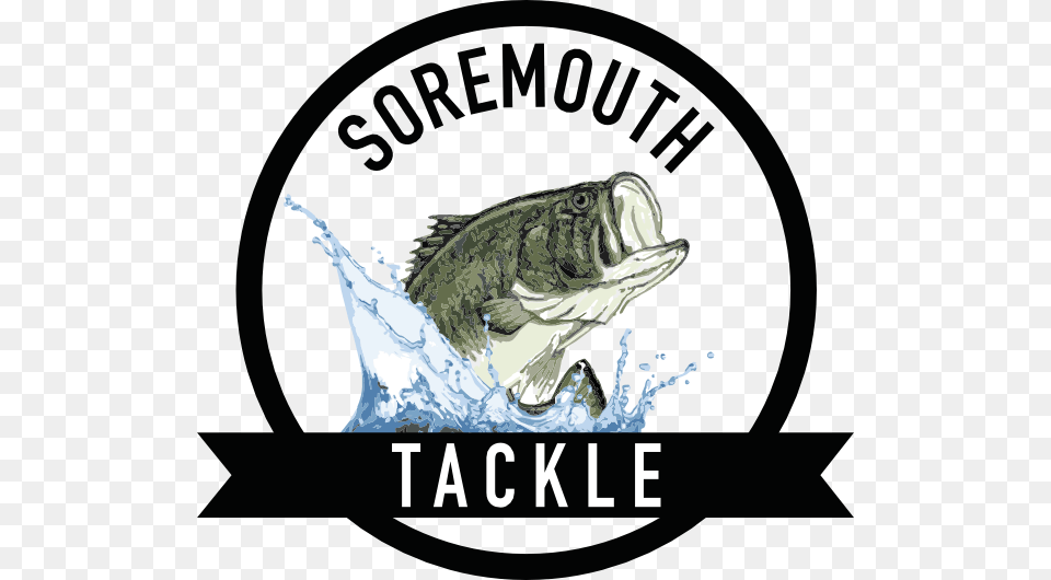 Soremouth Tackle Parent Institute For Quality Education Piqe Logo, Aquatic, Water, Animal, Iguana Png Image