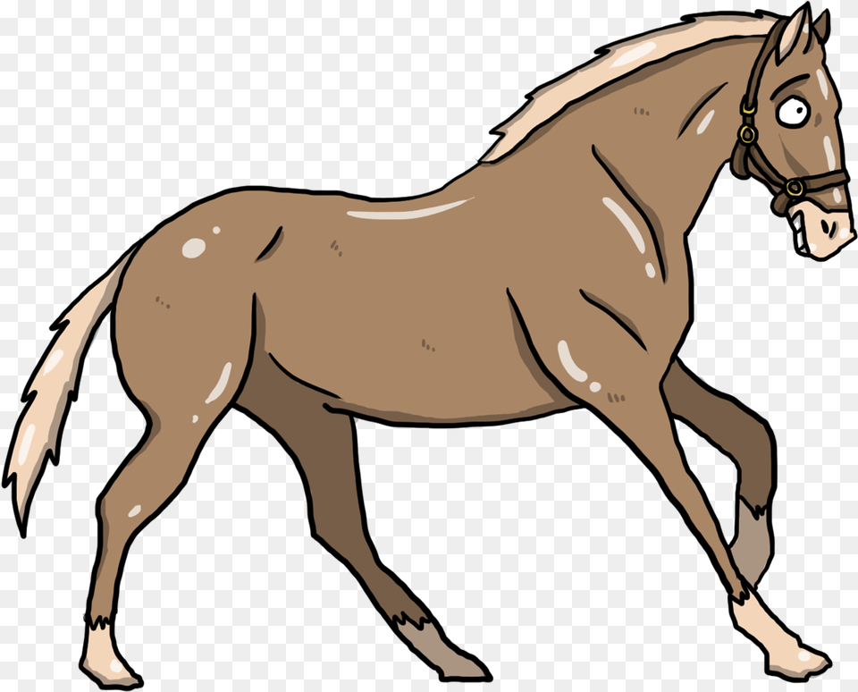 Sorrel, Animal, Colt Horse, Horse, Mammal Png Image