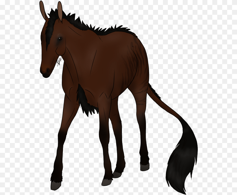 Sorrel, Animal, Colt Horse, Horse, Mammal Free Png