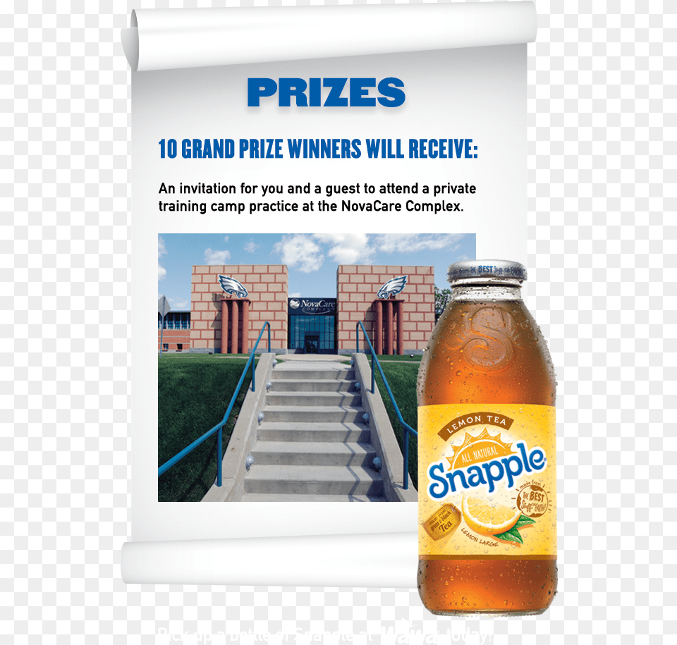 Sorry To Inform You That Snapple Fresh For Training Snapple Lemon Tea 12 Pack 16 Fl Oz Bottles, Advertisement, Housing, House, Building Free Png