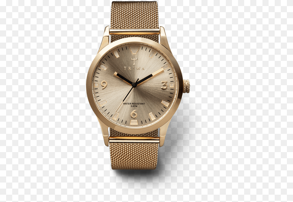 Sort Of Black Gold Triwa Watch Rasmus Storm, Arm, Body Part, Person, Wristwatch Free Png
