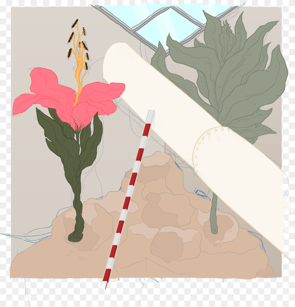 Sorta Work In Progress But Ill Probably Leave It At Illustration, Flower, Plant, Leaf, Art Png Image