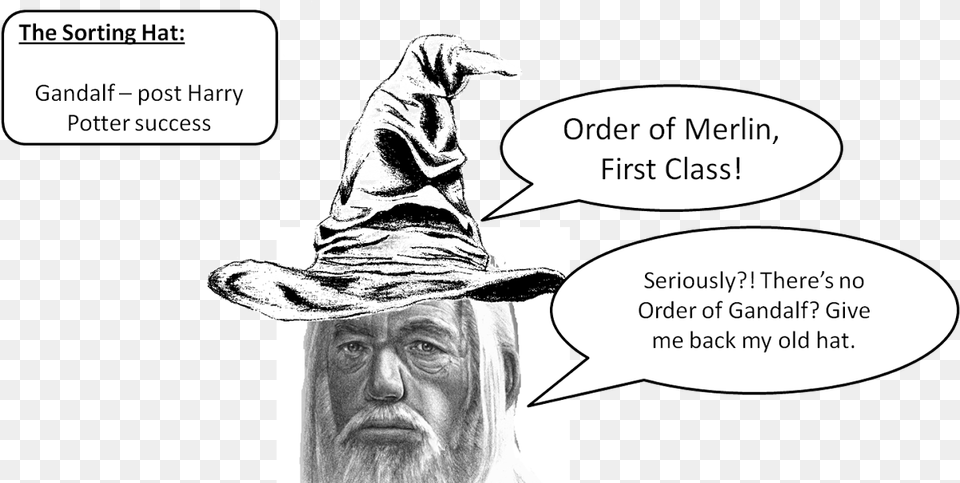 Sorting Hat Gandalf Hat, Clothing, Adult, Male, Man Free Png