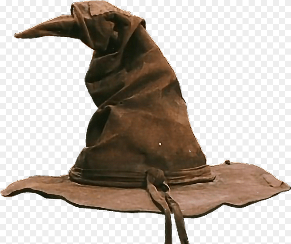 Sorting Hat Picture Harry Potter Sorting Hat, Clothing, Person Free Transparent Png