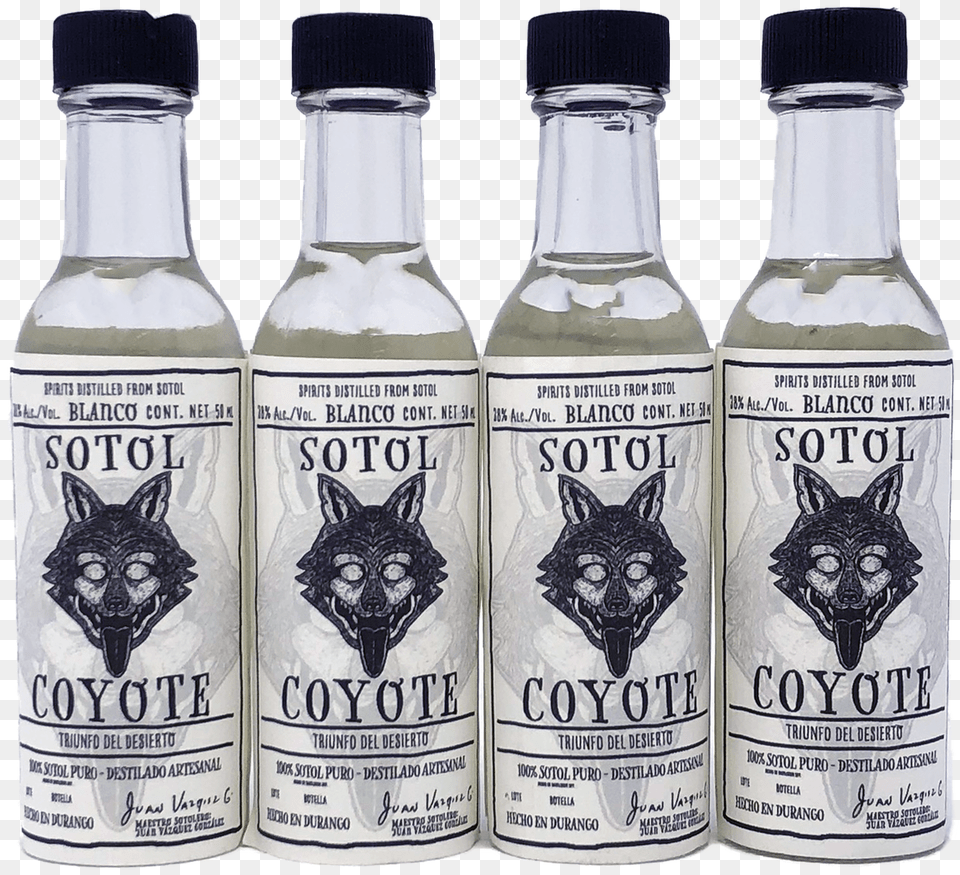 Sotol Coyote 38 Alc 50ml 4 Pack Glass Bottle, Alcohol, Beer, Beverage Free Png