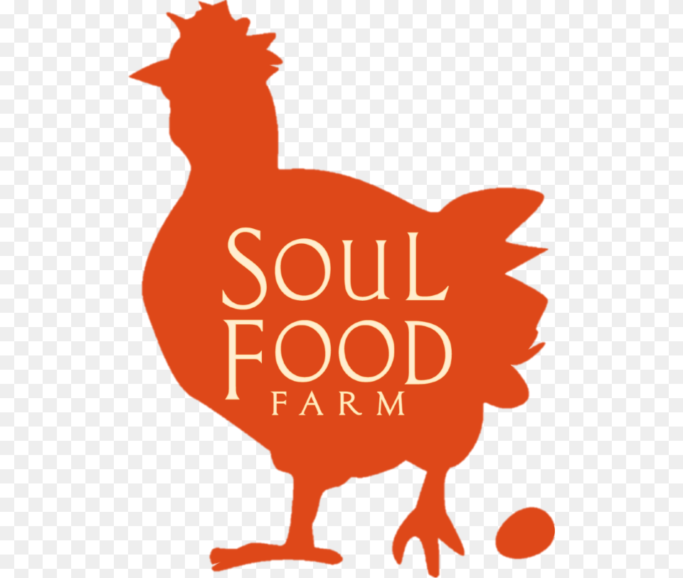 Soul Food, Animal, Bird, Baby, Person Png Image