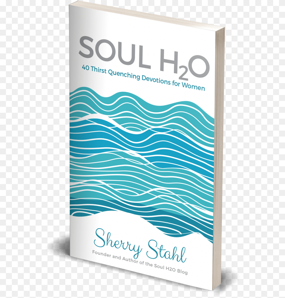 Soul H2o Devo Mock Up Book, Publication, Advertisement, Poster Png Image