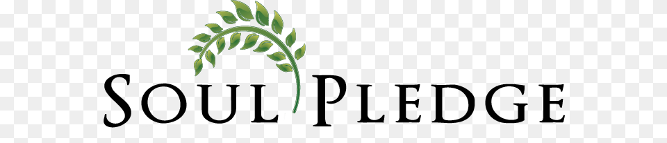 Soul Pledge, Leaf, Plant, Fern, Herbal Free Png Download