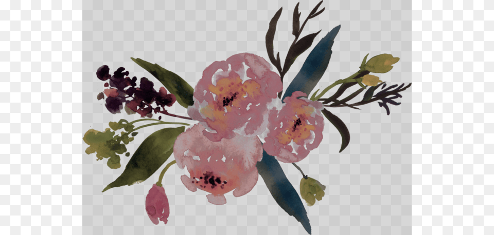 Soul Tragedy Watercolor Flower Clipart, Plant, Art, Floral Design, Graphics Free Png