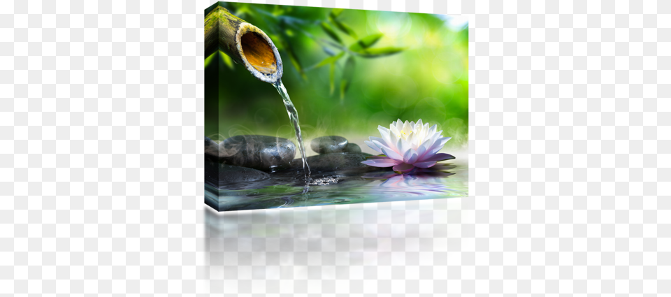 Sound Art Bluetooth Speaker Built In High Quality Sound Daily Sip Of Joy And Peace, Flower, Plant, Petal, Lily Free Transparent Png