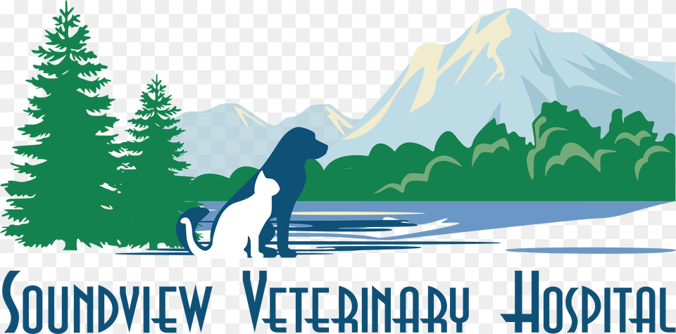 Soundview Veterinary Hospital Pine Tree Vector, Plant, Animal, Canine, Dog Png Image