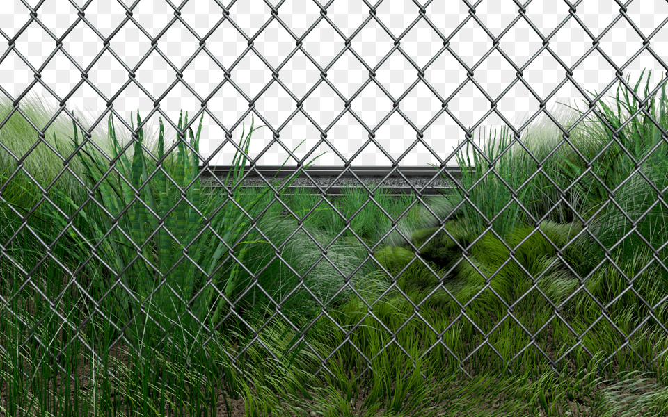 Source Skreenboy Chain Link Fencing, Fence, Grass, Plant, Vegetation Free Transparent Png