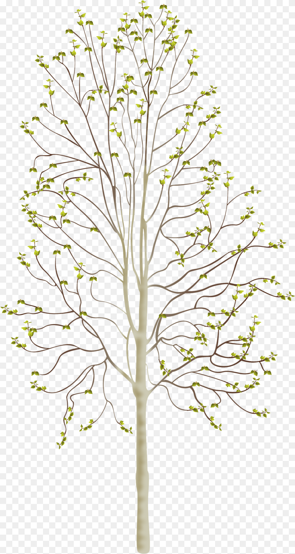 Source Vectorartbynoor Files Wordpress Com Portable Network Graphics, Plant, Tree, Tree Trunk, Art Free Transparent Png