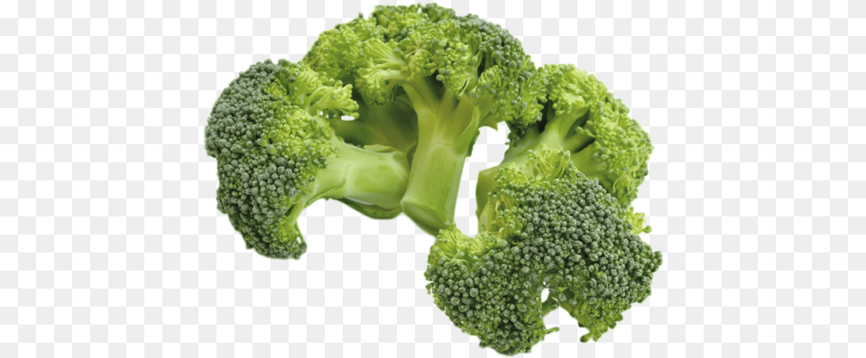 Sourced From Spain Broccoli, Food, Plant, Produce, Vegetable Png