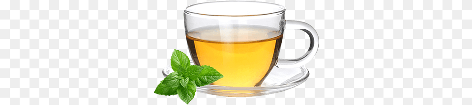 Soursop Tea Green Tea, Herbs, Plant, Beverage, Herbal Png Image
