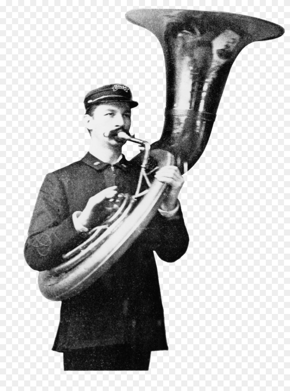 Sousaphone Player, Brass Section, Musical Instrument, Horn, Adult Png Image