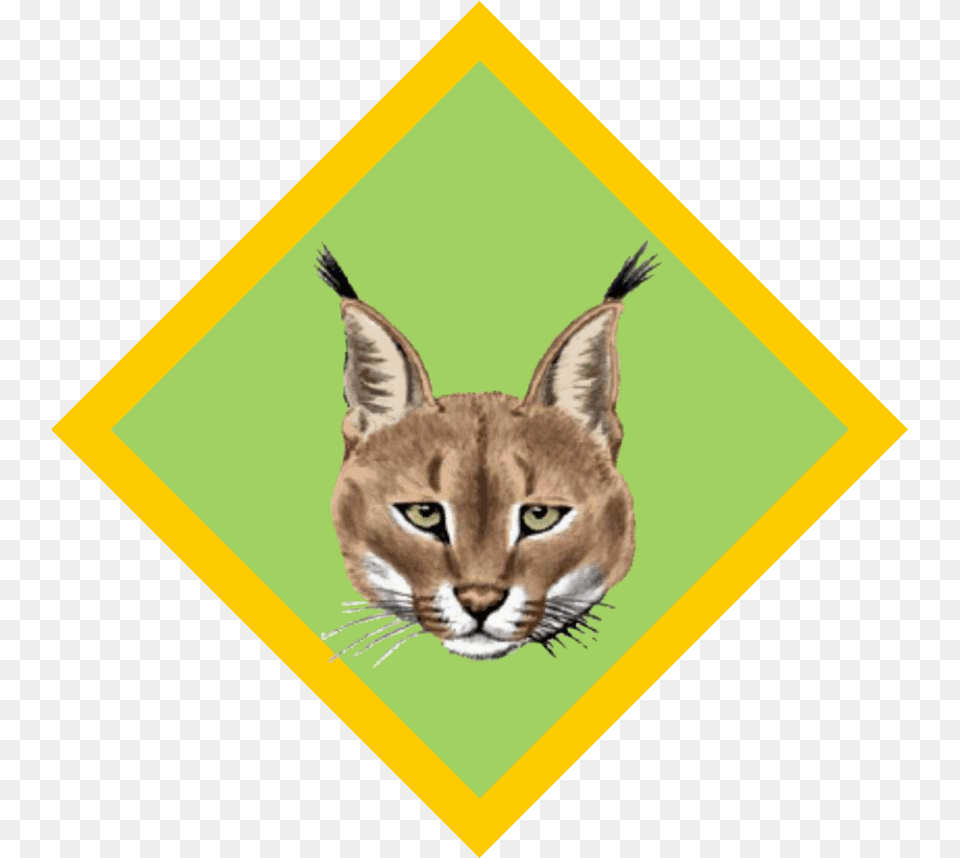 South African Scout Clipart Cubs South Africa Badges, Animal, Cat, Mammal, Pet Free Transparent Png