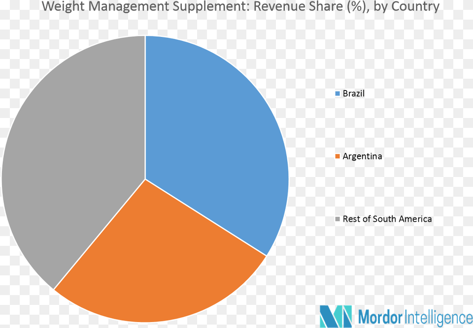 South America Weight Management Supplement Market Key Circle, Chart, Pie Chart, Disk Free Transparent Png