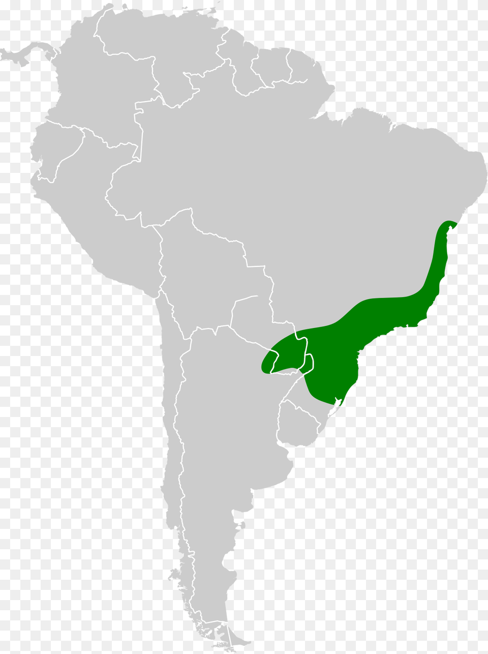 South American Championship, Chart, Map, Plot, Atlas Png