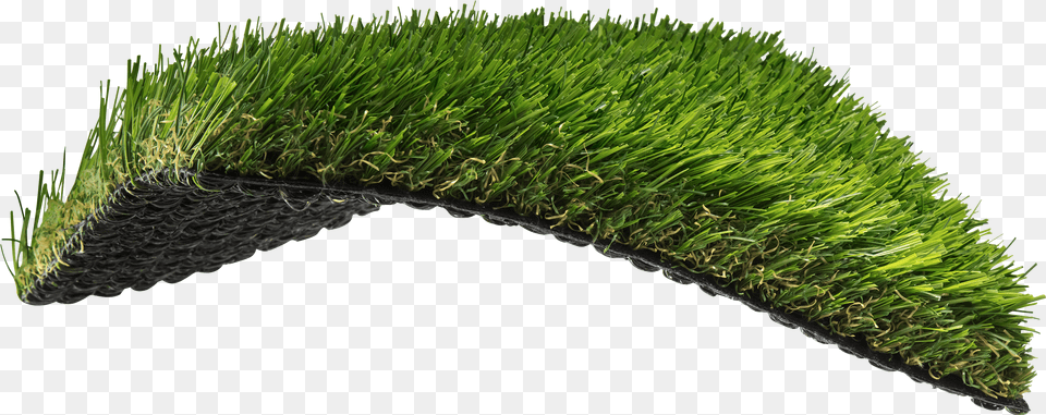 South Atlantic Inspired Sweet Grass, Vegetation, Potted Plant, Plant, Moss Free Png Download