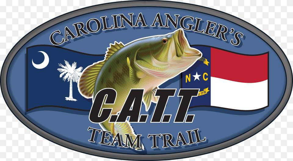 South Carolina, Animal, Sea Life, Fish Free Transparent Png