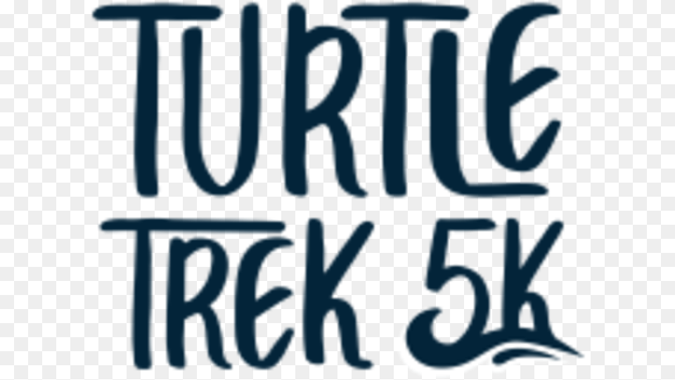 South Carolina Aquarium Turtle Trek 5k Poster, Text, Book, Publication, Person Png Image