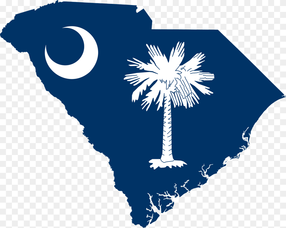 South Carolina Clip Art South Carolina State Flag, Outdoors, Tree, Nature, Night Free Png Download