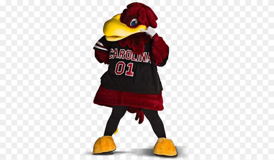 South Carolina Cocky, Mascot, Clothing, Glove, Baby Free Transparent Png