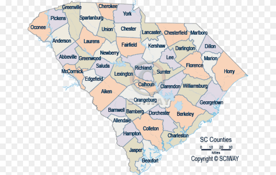 South Carolina Detailed County Maps On South Carolina Map Of South Carolina, Atlas, Chart, Diagram, Plot Png Image