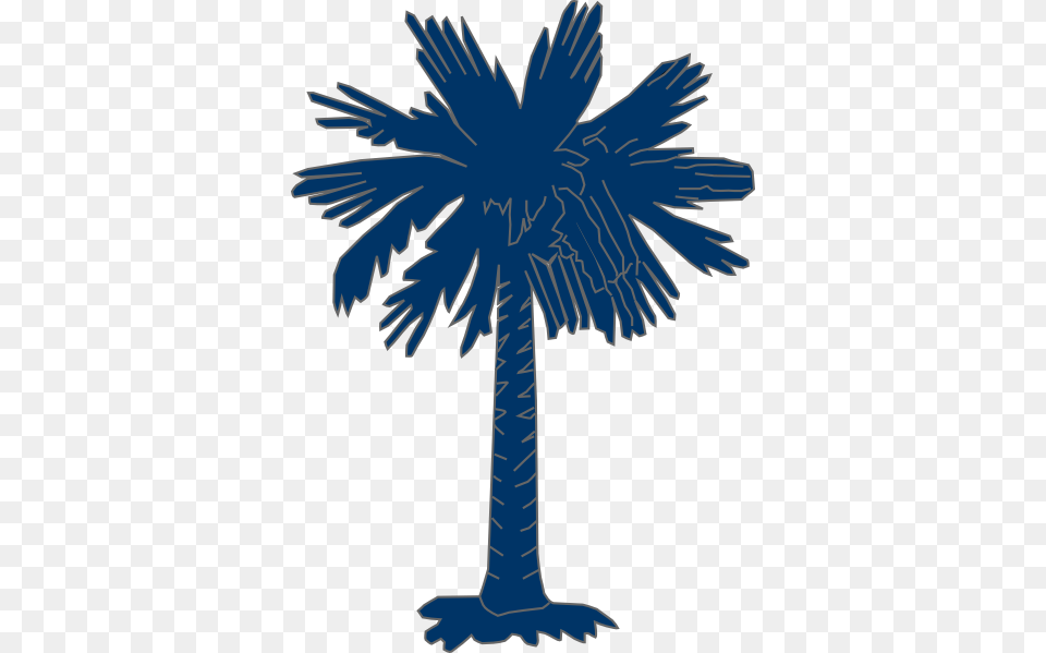 South Carolina Flags, Palm Tree, Plant, Tree, Person Png Image