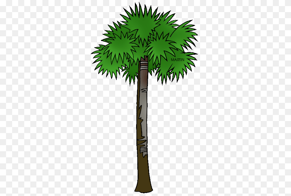 South Carolina Gamecock Garnet Palmetto Tree University Of South, Palm Tree, Plant, Leaf, Cross Free Png Download