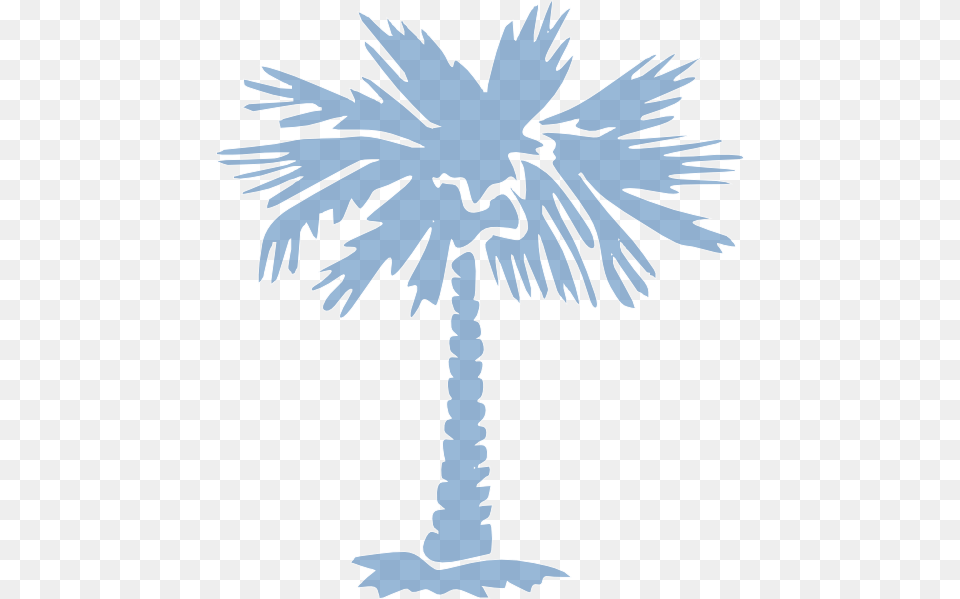 South Carolina Palm Tree, Palm Tree, Plant, Animal, Bird Png
