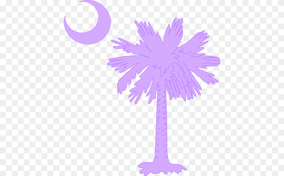 South Carolina Palmetto Tree, Palm Tree, Plant, Purple, Flower Free Transparent Png