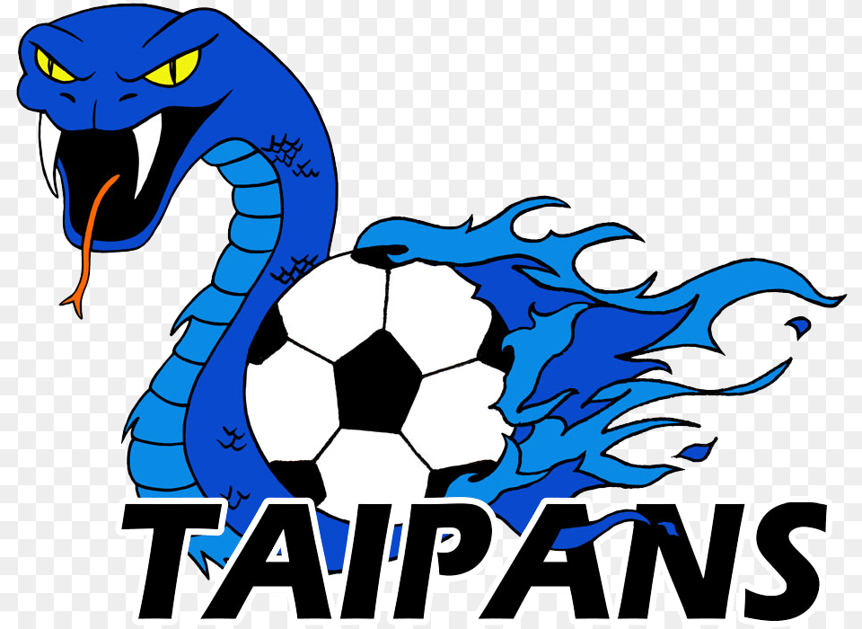 South Coast Taipans Vs Mascot Vipers Taipan, Ball, Football, Soccer, Soccer Ball Png Image