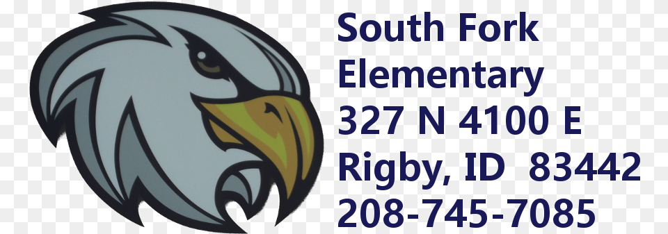 South Fork Elementary, Animal, Beak, Bird, Eagle Png Image