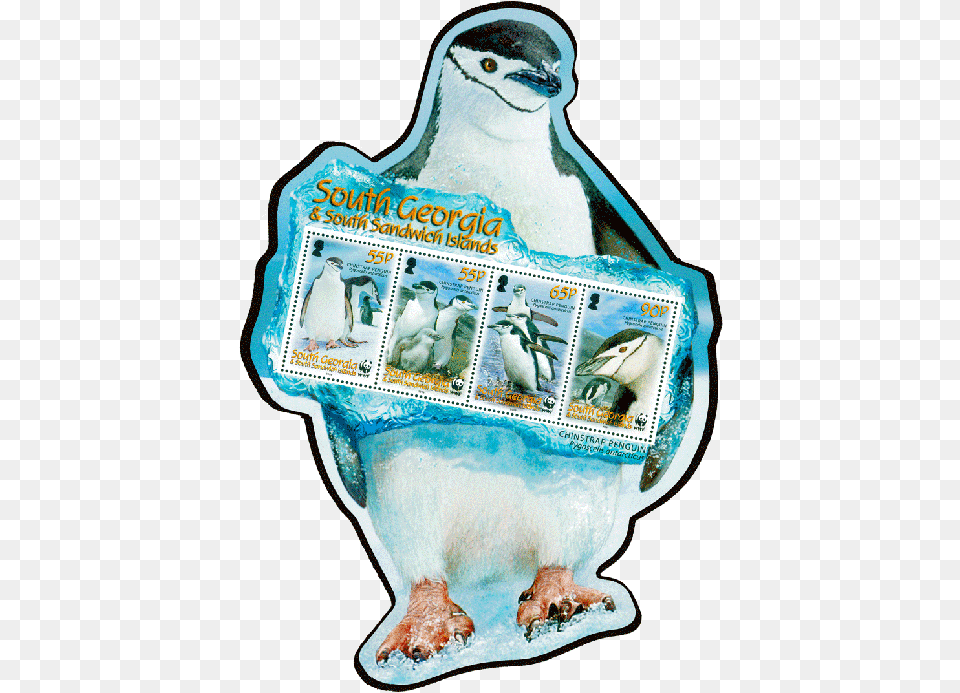 South Georgia Amp Sandwich Islands 2008 Penguin Stamp, Animal, Bird, Adult, Wedding Free Png