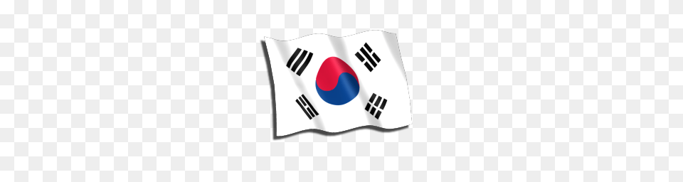 South Korea Flag Icon Flags Iconset Pan Tera, Clothing, T-shirt, Korea Flag, Person Free Transparent Png