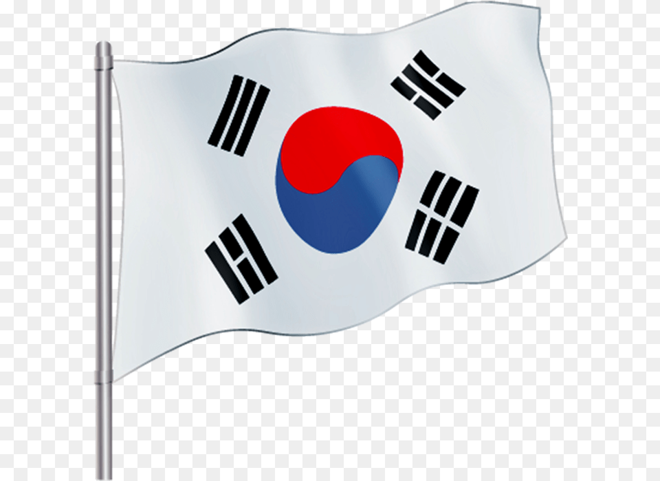 South Korea Flag South Korea Flag Waving, Korea Flag, Person Free Png Download