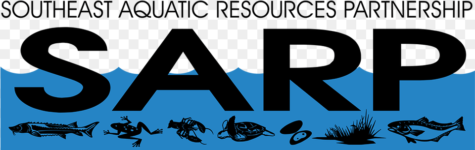Southeast Aquatic Resources Partnership Graphics, Animal, Sea Life, Fish, Outdoors Free Transparent Png